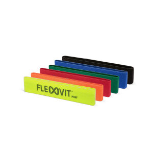 FLEXVIT Mini